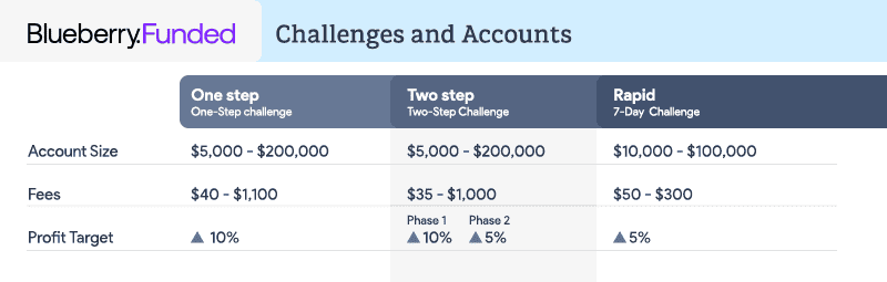 blueberry funded accounts comparison